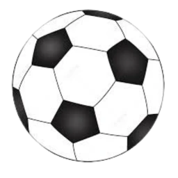 Sport Icon