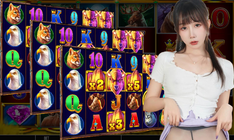 PUTUTOGEL